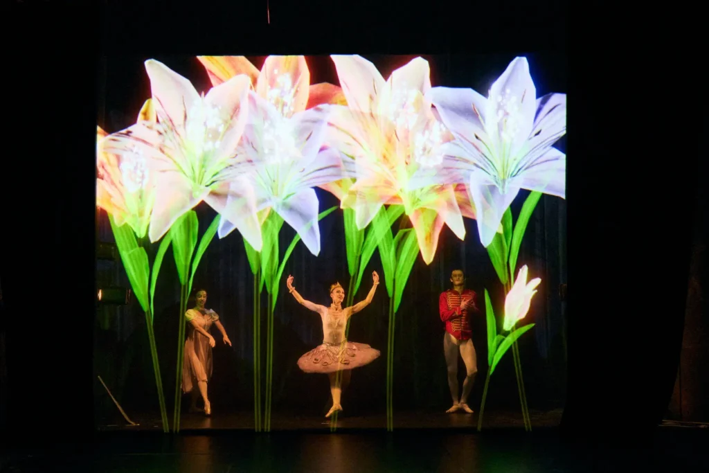 Spectacle pour écoles privées